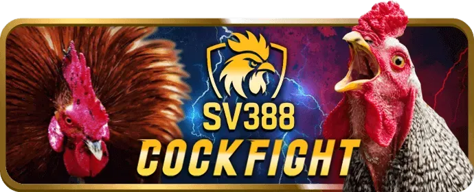 Phân tích các trận đấu thể thao nổi bật với tv88 code
